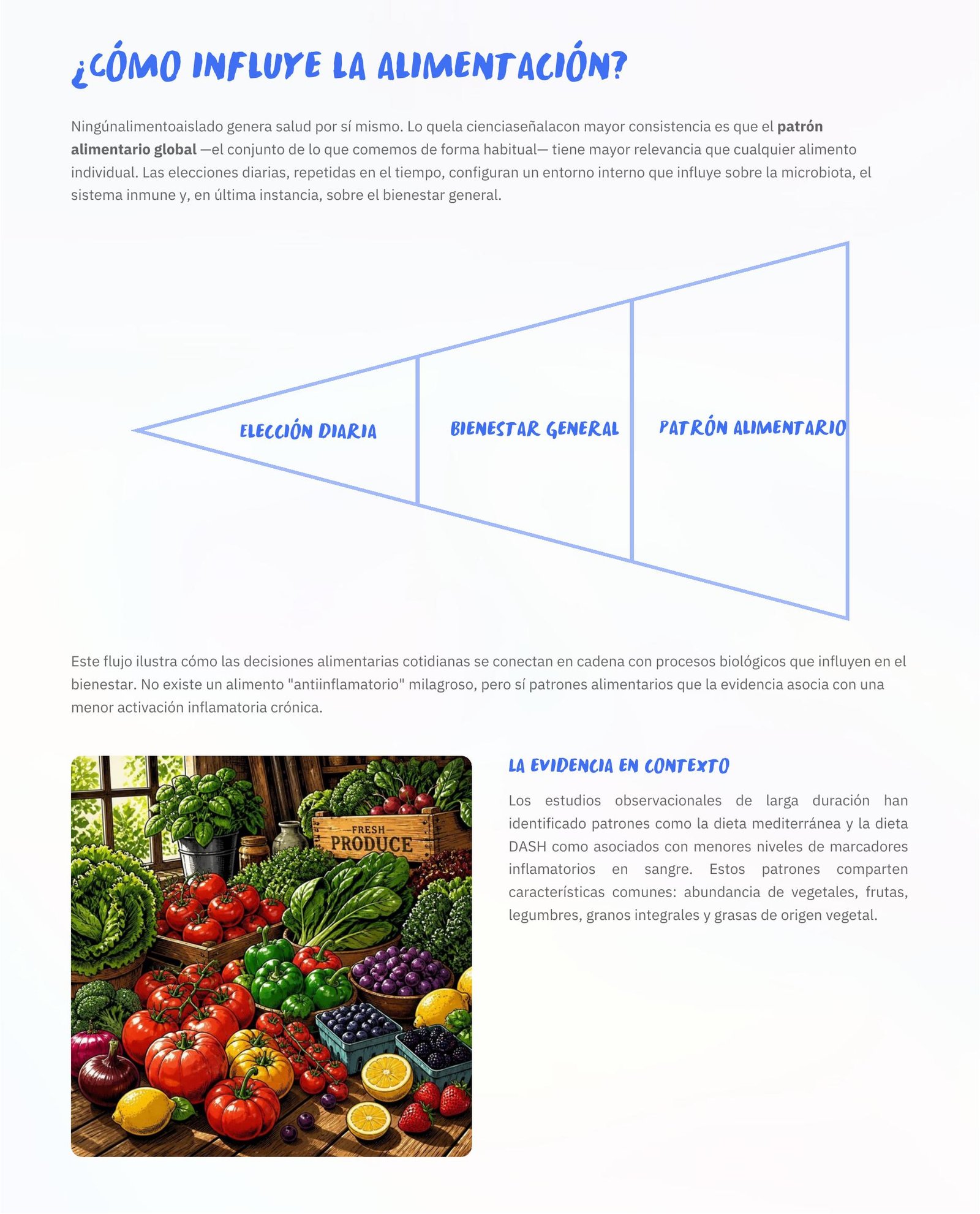 Contenido sobre alimentación
